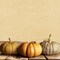 Great Papers! Fall Pumpkins Letterhead, Invitations and Announcements, Printer Friendly 8.5" x 11", 80 Pack